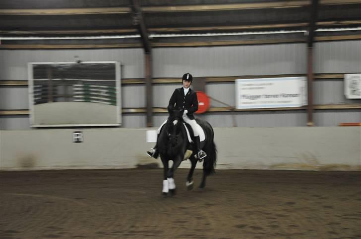 Anden særlig race yasmin, min passer hest. - Yasmin og jeg til stævne på vemmelv rideklub (: billede 5