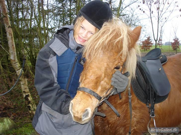 Islænder Freydi - Mig og freydi har lige været ude og ride.. Elsker den hyp..! billede 2