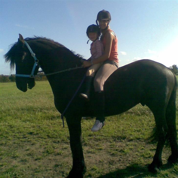 Frieser Zafir  - Mig og Laura rider på Zafir i grime<3 Foto: Ninna billede 2