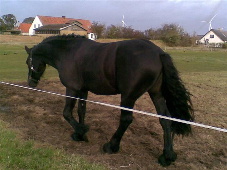 Frieser Zafir  - På fold<3 Foto: Mig billede 4