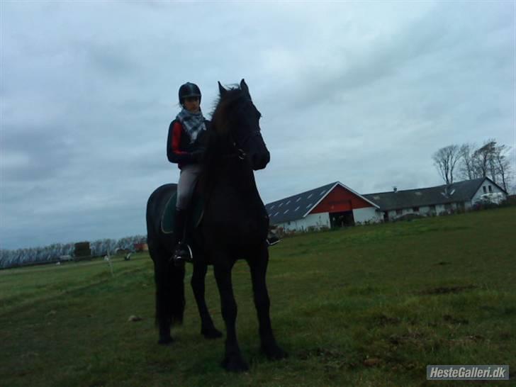 Frieser Zafir  - Parade<3 Foto: Laura billede 5