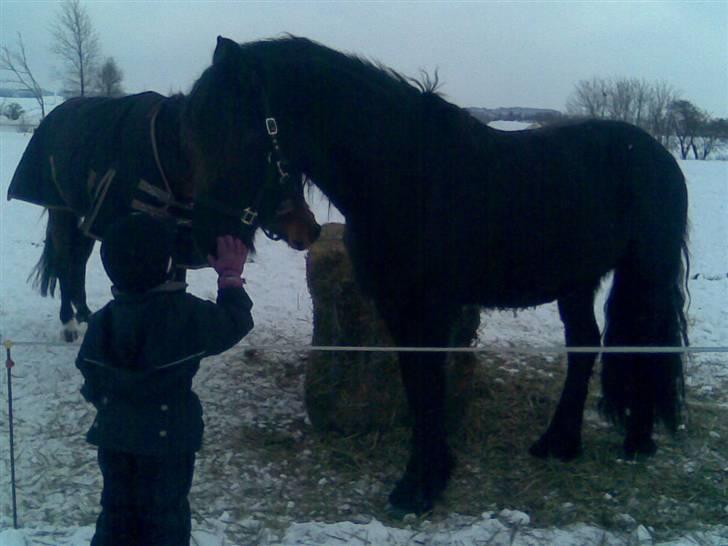 Frieser Zafir  - Laura og Zafir<3 Foto: Mig billede 9