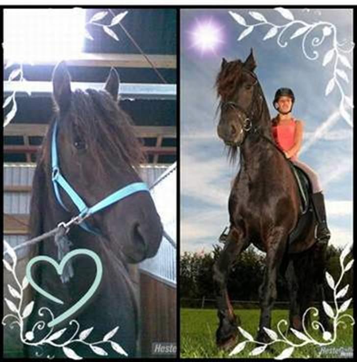 Frieser Zafir  - <33333 billede 13