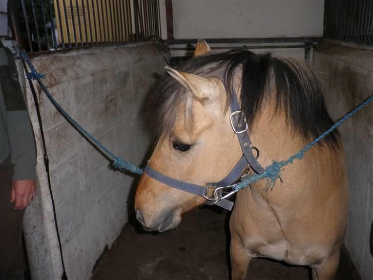 Anden særlig race Disney - Uhh der sker noget spøndende der henne. billede 2