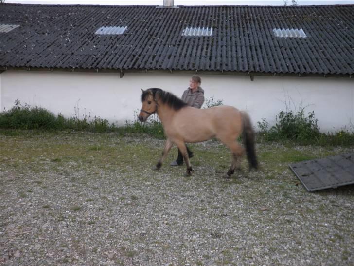 Anden særlig race Disney - er lige kommet ud af traileren billede 6