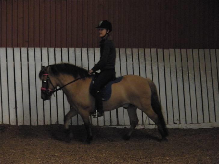 Anden særlig race Disney - er han ikke bare sød? billede 10