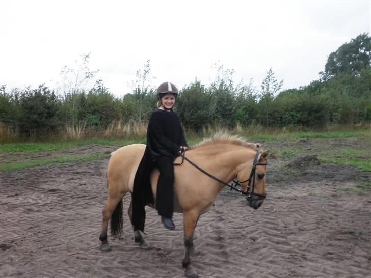 Anden særlig race Disney - så skulle vi lige ride rundt lidt billede 14