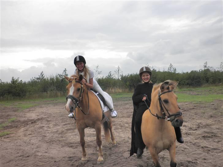 Anden særlig race Disney - det var så sjovt billede 15