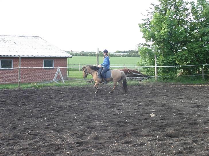 Anden særlig race Disney - den dag vi var ude at prøve ham, han er blevet meget bedere siden da billede 16