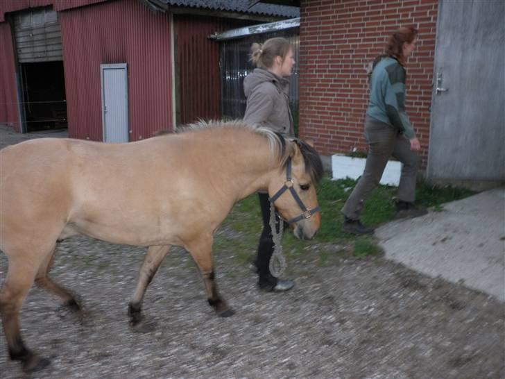 Anden særlig race Disney - nu skal jeg ind igen billede 18