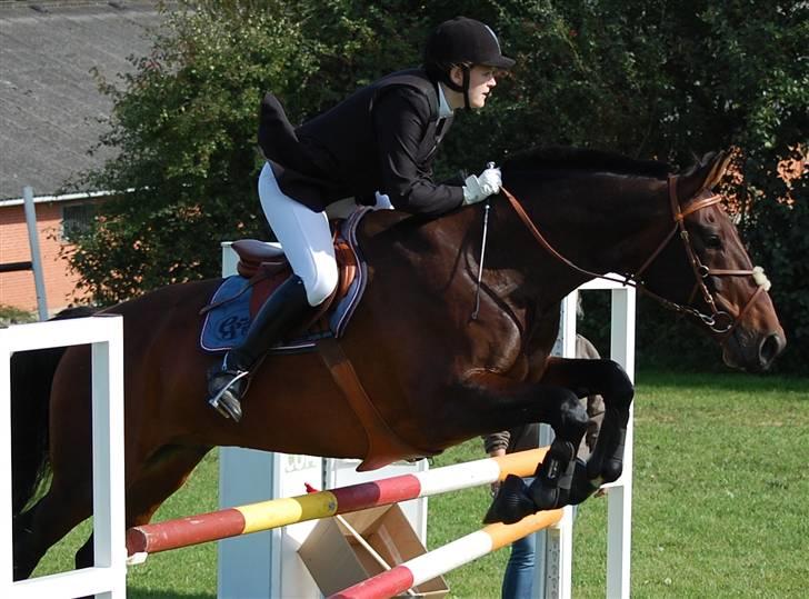 Anden særlig race Fredrik [Himmelhest] - 2: Stævne Tougaard. LB - Fotograf: Min søster billede 3