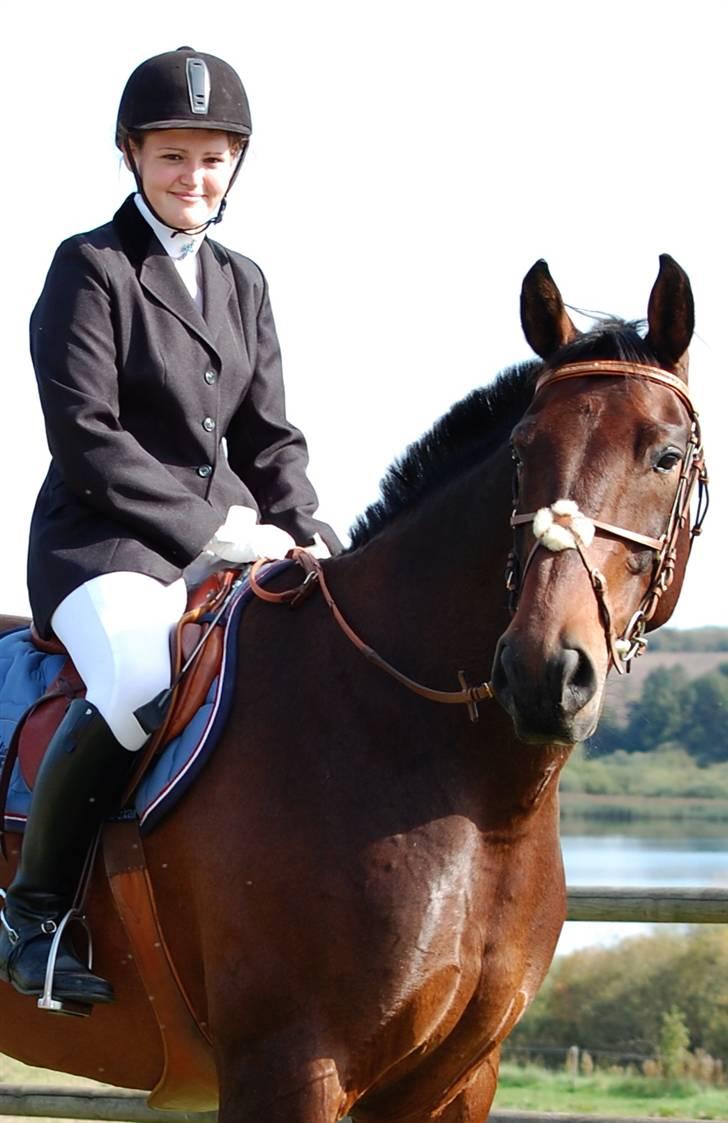 Anden særlig race Fredrik [Himmelhest] - 4: Efter stævne på Tougaard. - Fotograf: min Søster billede 5