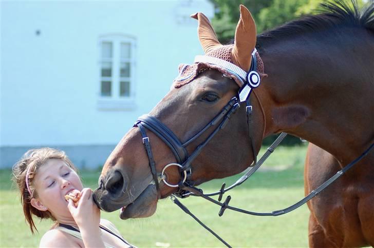 Anden særlig race Fredrik [Himmelhest] - 9: ATTACK.! Frede angriber Anne for at få hendes kanelsnegl. - Fotograf: Mig selv. billede 10