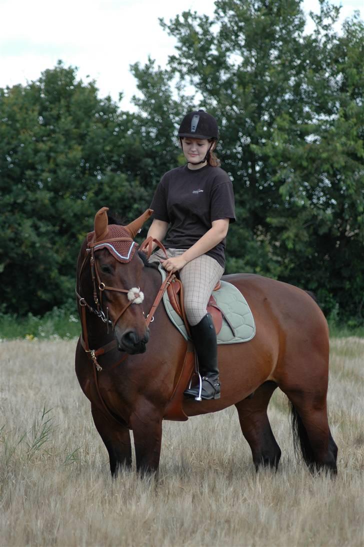 Anden særlig race Fredrik [Himmelhest] - 13: Opstilling i marken.. Elsker det billede <3 - Fotograf: Chaos billede 14