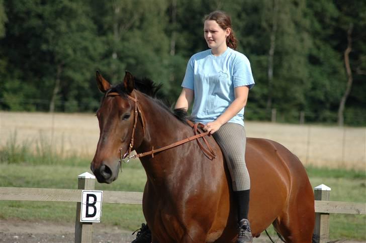 Anden særlig race Fredrik [Himmelhest] - 15: Hygge uden sadel. - Fotograf: Chaos billede 16
