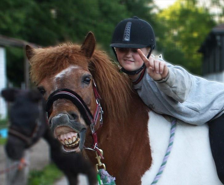 Islænder Kemba v. Asbeck  - 6. Smiiiiiiill (: Foto: Sophie Thorup billede 6