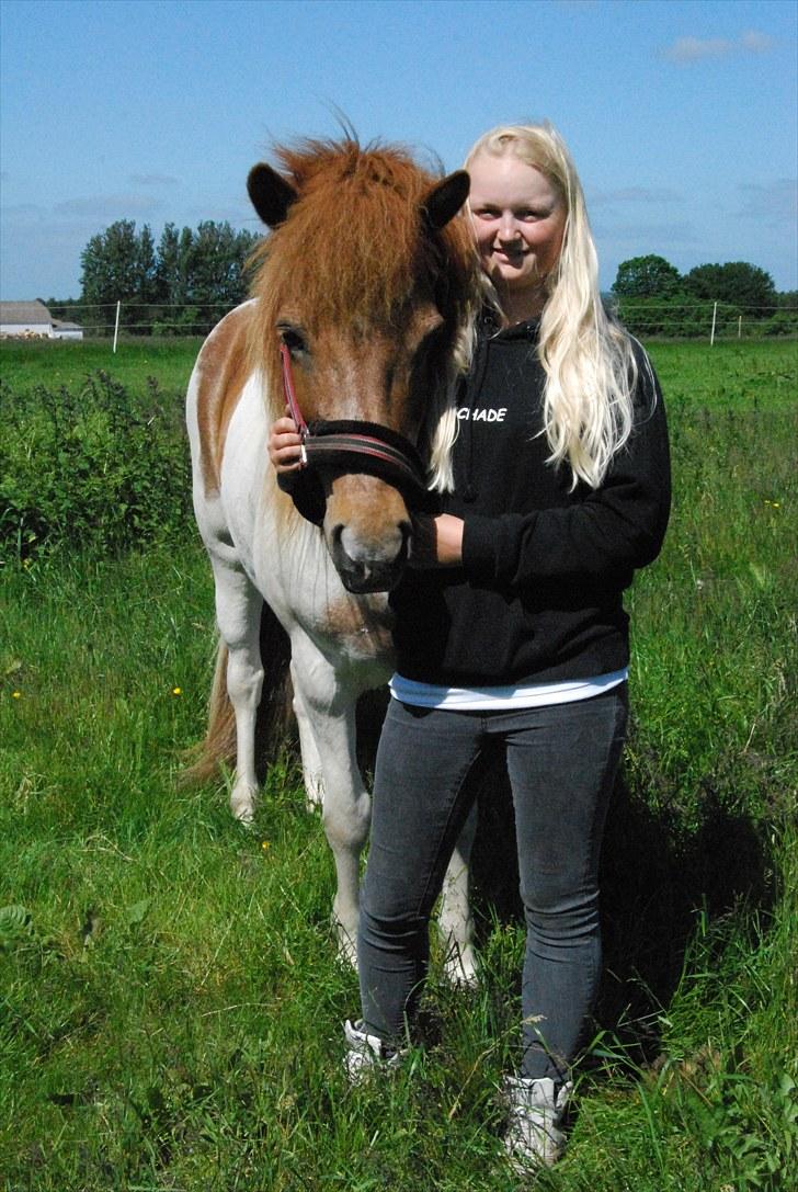Islænder Kemba v. Asbeck  - 7. Smukke tøs og jeg<3 Foto: Josefine Hilden billede 7