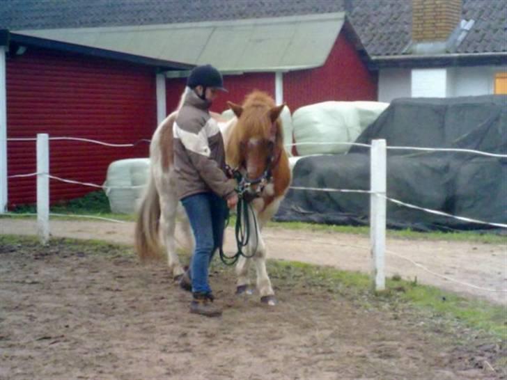Islænder Kemba v. Asbeck  - 13. Vi træner lidt akademisk.. (: Foto: Line Clausen billede 13