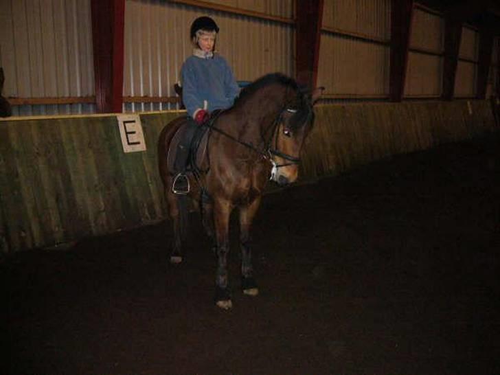 New Forest Krumme - krumme og mig... billede 15