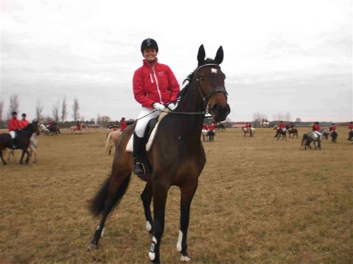 Dansk Varmblod Daylight Rex R.I.P. <3 - Vores allerførste Jagt :o) Foto; Svigermor billede 14