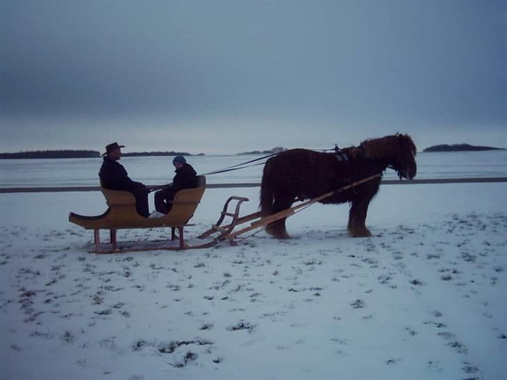 Jyde Knold - 31/1-10 billede 15