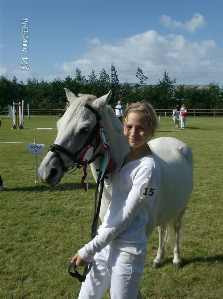 Welsh Pony (sec B) Lyngvejens Ravalla - Welsh Ponyernes Dag 2007 billede 15