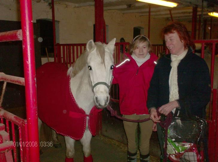 Welsh Pony (sec B) Lyngvejens Ravalla - Da hendes ejer, kom og hentede hende. billede 20