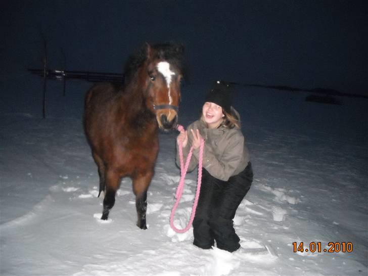 Dartmoor Lille per (savnet<3 - 6. billede 6