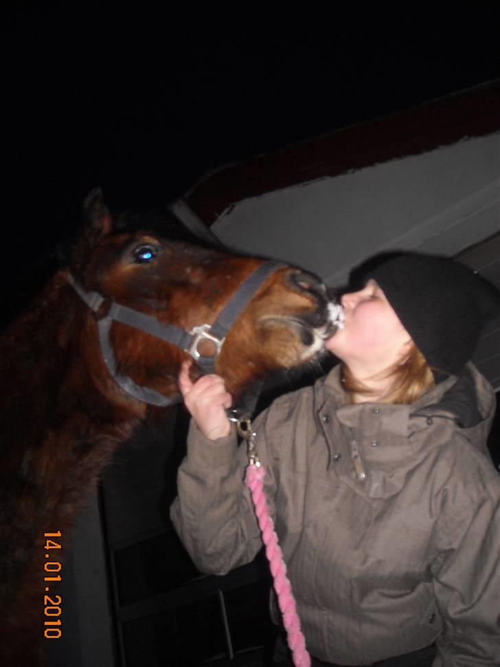 Dartmoor Lille per (savnet<3 - 7. billede 7