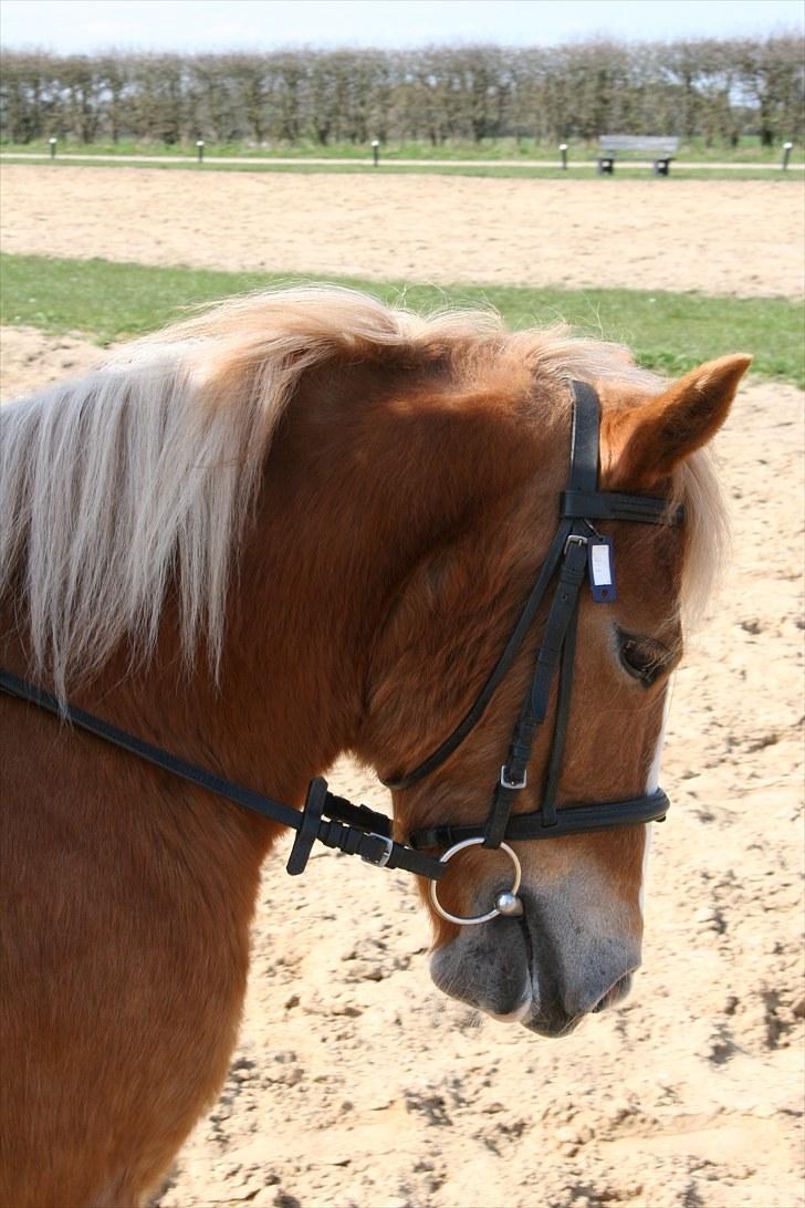 Anden særlig race Fie Gamle part:´) billede 8