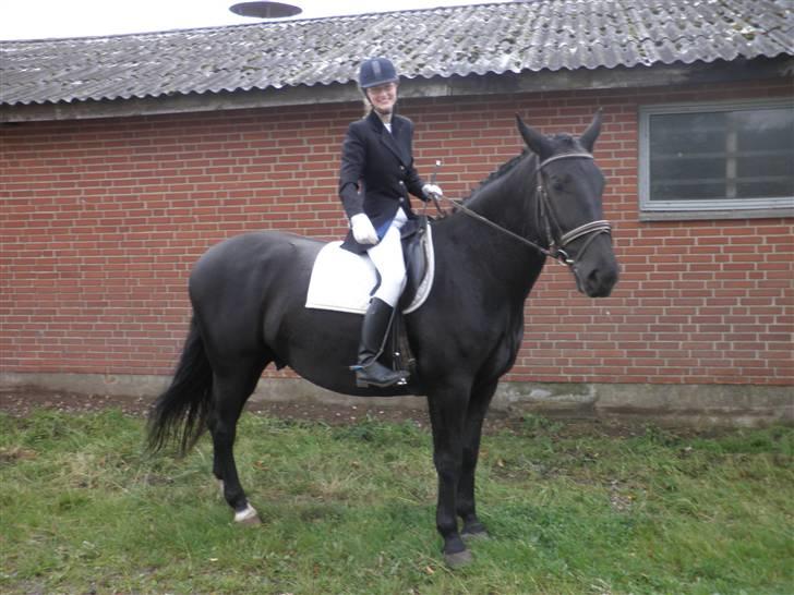 Oldenborg Sorte billede 10