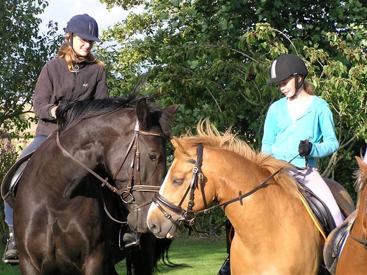 Oldenborg Sorte billede 13