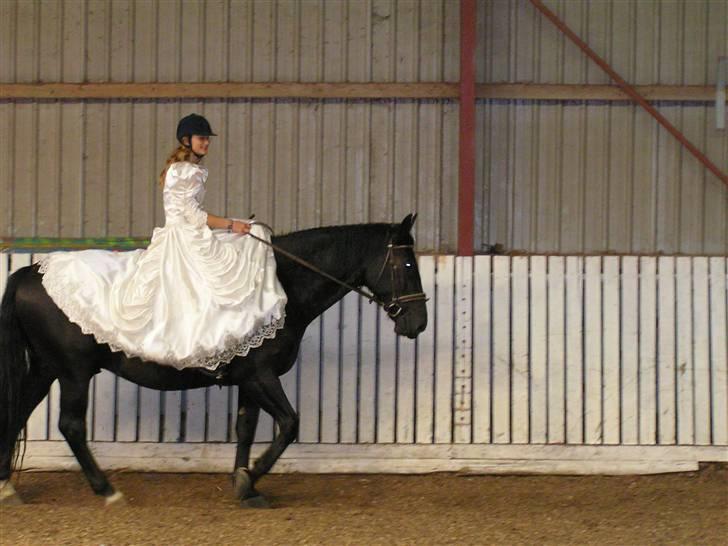 Oldenborg Sorte billede 14