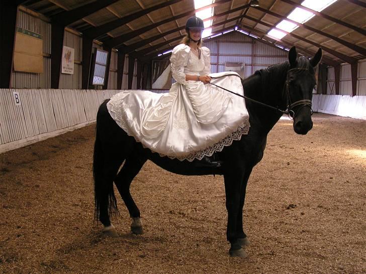 Oldenborg Sorte billede 15