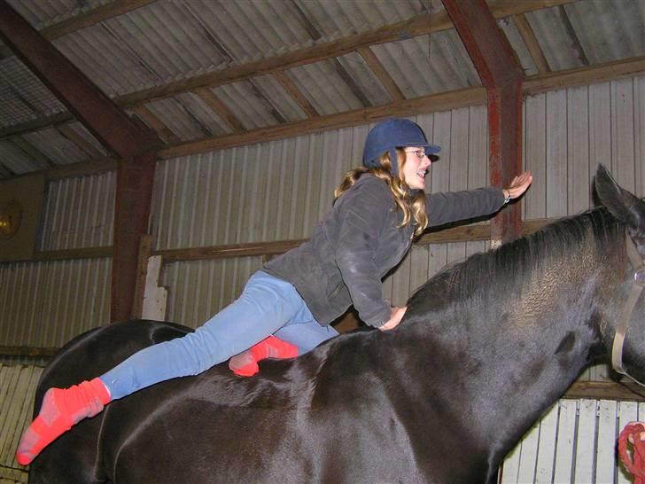 Oldenborg Sorte billede 16