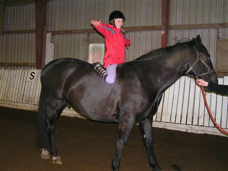 Oldenborg Sorte billede 17