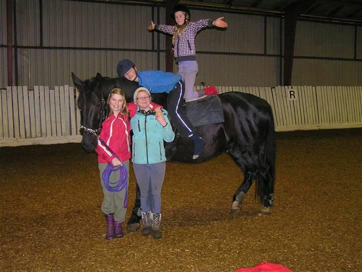 Oldenborg Sorte billede 20