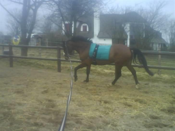 DSP Fontaine | Tidl. Låne (: - 27 marts 2010 (; har ca. haft ham 3 mdr... billede 8