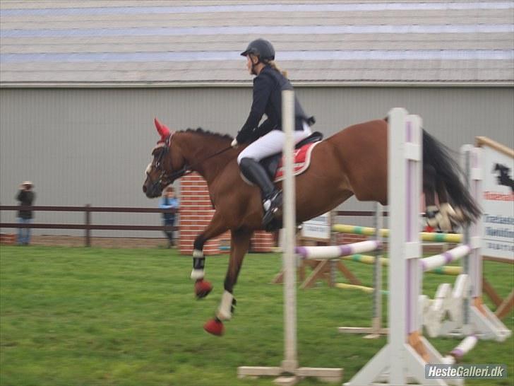 DSP Fontaine | Tidl. Låne (: - Kløvergården c-stævne d. 21-22 august. (: - her med nul runde i Lb (: billede 9