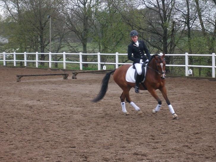 DSP Fontaine | Tidl. Låne (: - Midt i en 10 m. volte - LB2 (: billede 13