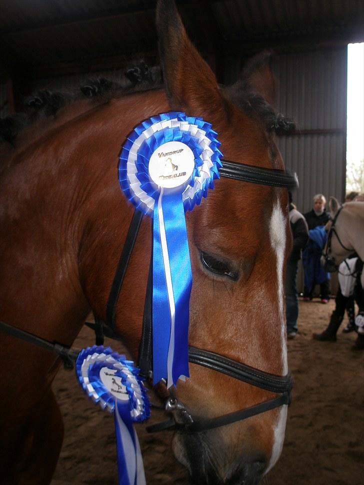 DSP Fontaine | Tidl. Låne (: - to 2. pladser d: - rosset rytter og pony :´D  billede 14