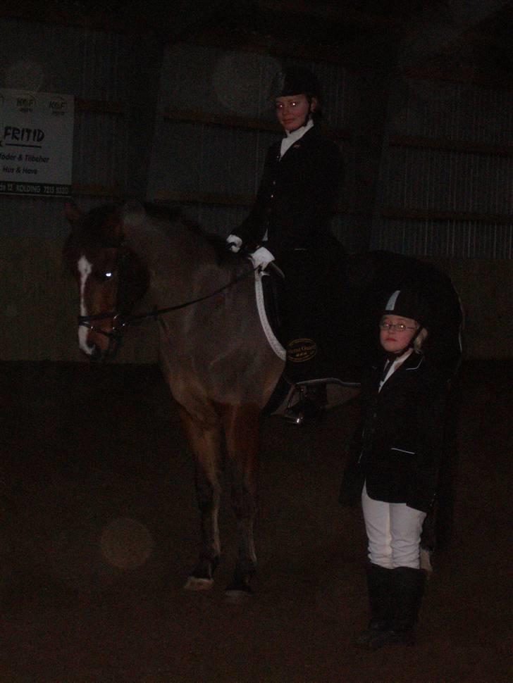 DSP Fontaine | Tidl. Låne (: - 1 afdeling af Klubmesterskabet! 1. plads, prc. 72,73% (: + første stævne d: billede 15