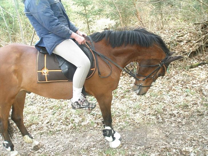 DSP Fontaine | Tidl. Låne (: - i naturen - med Med Malene på ryggen :´D <3 billede 16