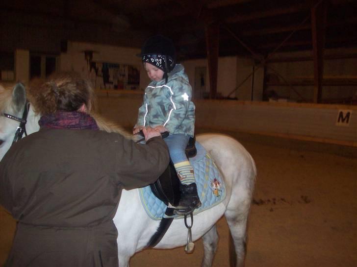 Anden særlig race bob  bytte  - billede tage den 31/1-2010 billede 13