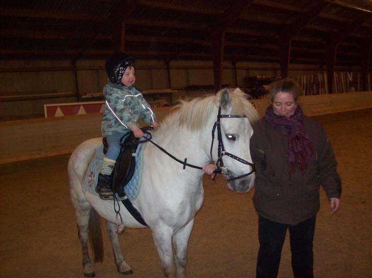 Anden særlig race bob  bytte  - billede tage den 31/1-2010 billede 14