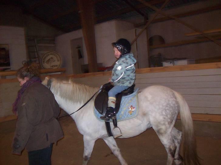 Anden særlig race bob  bytte  - billede tage den 31/1-2010 billede 16