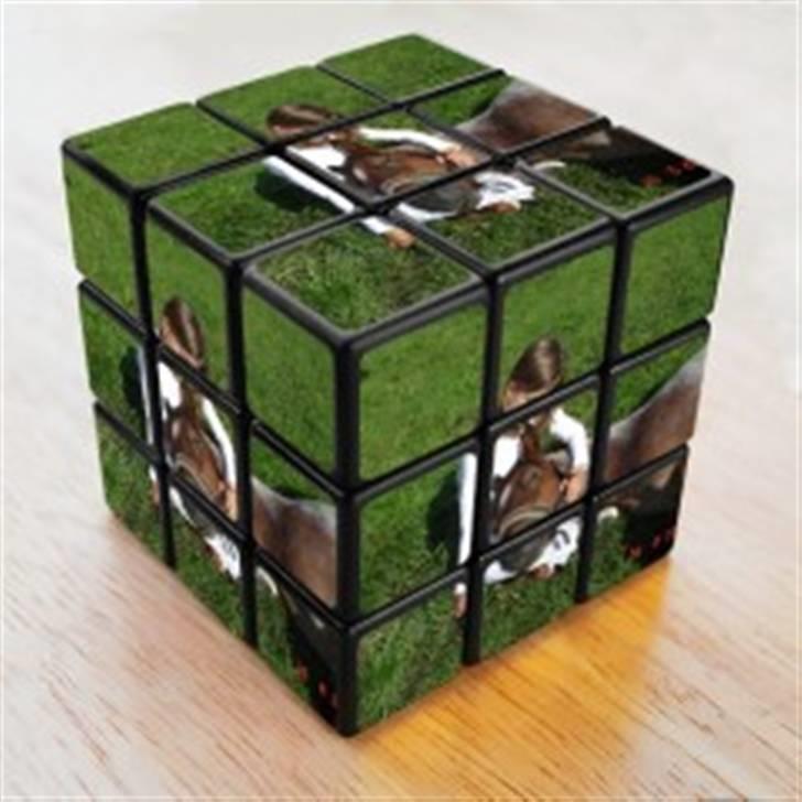 Anden særlig race Hedins anna-bella (solgt) billede 15