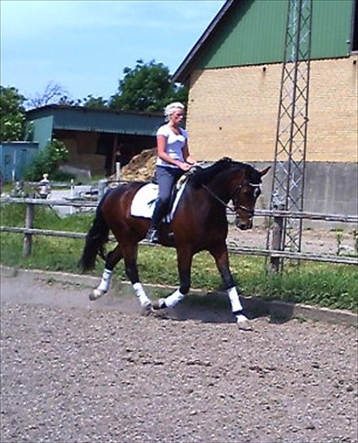 Oldenborg Tronkærs Lukas - JULI 2010  billede 14