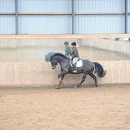 Oldenborg UnoBeat Kærgård