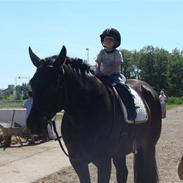 Oldenborg UnoBeat Kærgård